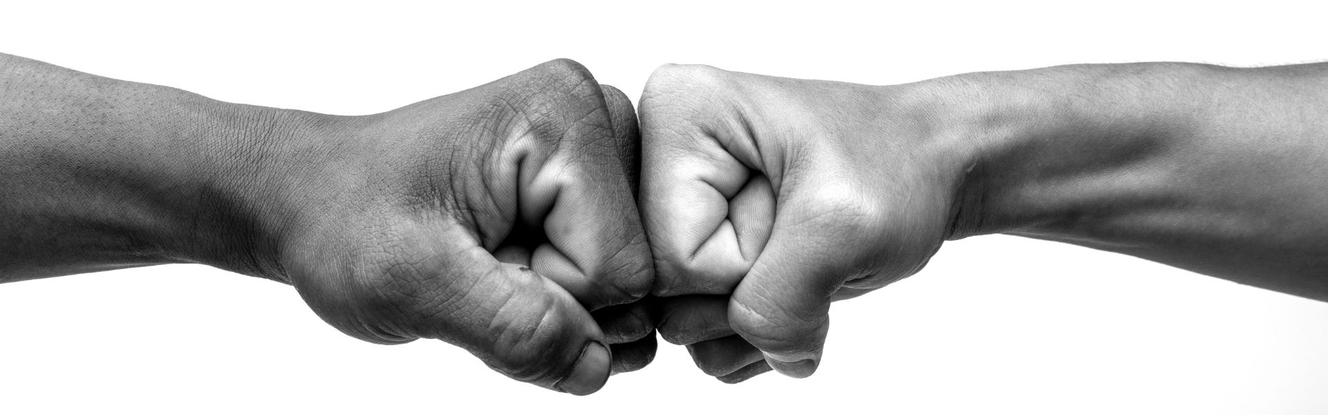 Partner Ariel Energia