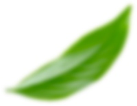 leaf-2